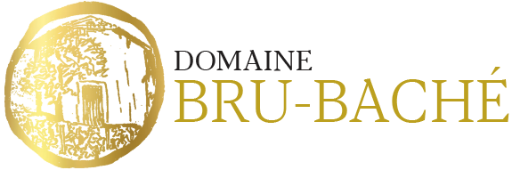 Juançon bio - Producteur de jurançon bio - Domaine Bru Bache